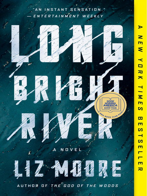 Title details for Long Bright River by Liz Moore - Available